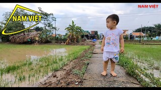 Sơn Hà ra thăm đồng - Nam Việt 93