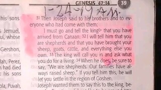 Daily Verse.                            Genesis 46:31-34