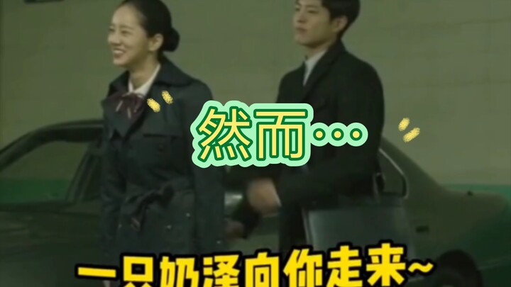 韩剧1988花絮。阿泽和德善。看口型说的是“整死你”