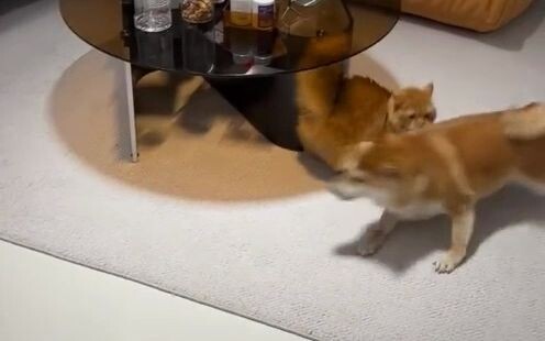 Awal dan akhirnya sangat tiba-tiba