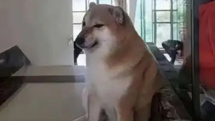 I've met many gods, but they all call me the God of Creation.