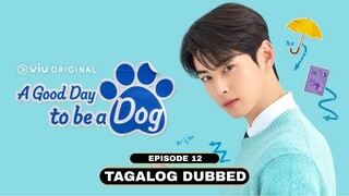 A Good Day to be a Dog Episode 12 Tagalog Dubbed