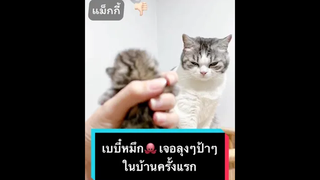 น่ารักมากคะ🥰🥰