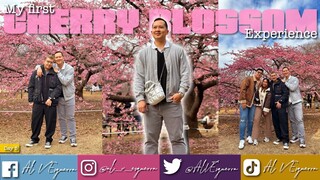 MY FIRST CHERRY BLOSSOM EXPERIENCE  - Japan Vlog Day 5