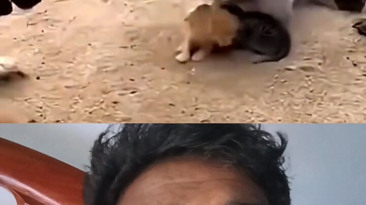 bachelor point season 5 Episode 50