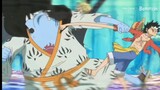 Luffy vs jimbei,Yg menang Robin,Yg kalah sanji 🗿【one piece】