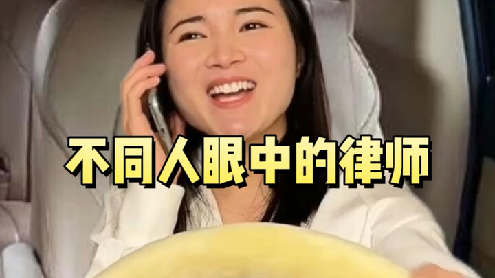 不同人眼中的律师是什么样？