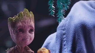 Supercut | Marvel Studios' I Am Groot | Disney+Marvel Entertainment