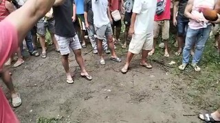 2x na si raptor