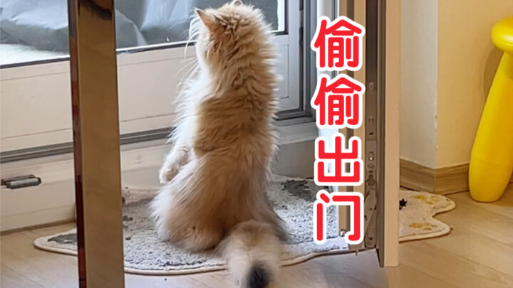 ไม่คิดเลยว่าจิ่วจิ่วจะช่วยน้องชายไว้