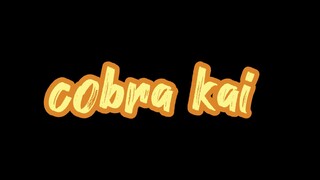 Cobra Kai Season 3 Episode 6 In Hindi Dub