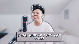 WHAT KIND OF FOOL AM I - REGINE VELASQUEZ (Male Cover) Karl Zarate *ORIGINAL KEY*