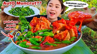 SAMBAL SEMANGKOK⁉️ BAKSO URAT KUAH PEDAS PULUHAN CABE RAWIT MENTAH MUKBANG#makancabementah