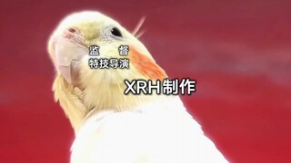 【特摄】疑似怪鸟西拉的片头流出