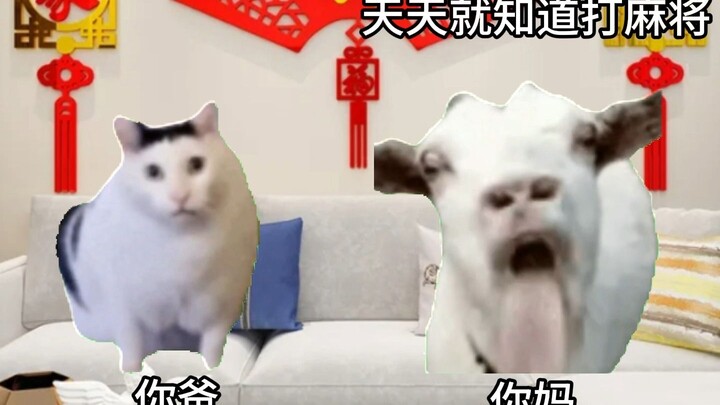 เมื่อพ่อแม่ของคุณทะเลาะกันในช่วงตรุษจีน