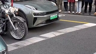 صادف أحد مستخدمي الإنترنت رجلاً يقود دراجة هارلي في الشارع، بينما كان جرو صغير يرتدي بذلة ونظارة شمس
