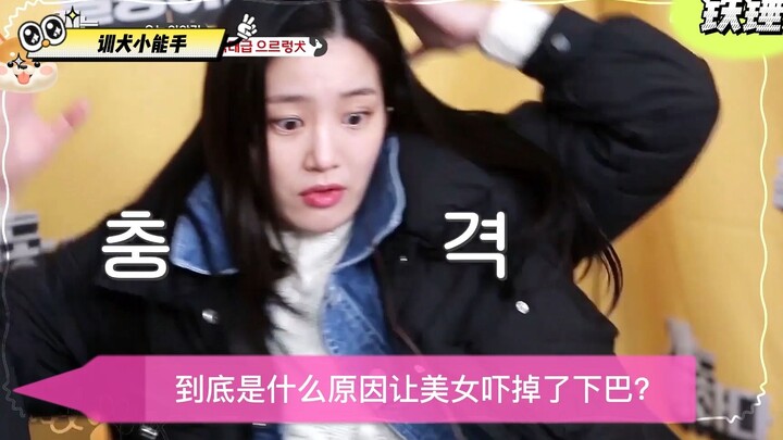 Tuan memelihara anjing seperti anak kandung, tapi si anjing malah membully tuannya balik. Memelihara