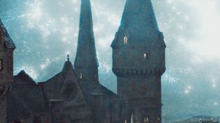 【هاري بوتر/مجموعة شخصيات HP】 فقط أنا من يمكنه أن يقرر بمظهر أي شكل سأكون | الإنسان هو