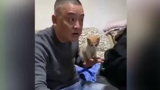 当年不准你养猫的爸爸妈妈