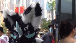 [FURRY] Scored twice~, 2022.10.2 Chengdu Longhu Binjiang Paradise Street ISPmini day2 hairy mixed cu