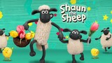 Shaun The Sheep Season 1 Eps.8 Dub Indo