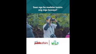 Saan nga ba madalas tumira ang mga buwaya? | Born to Be Wild