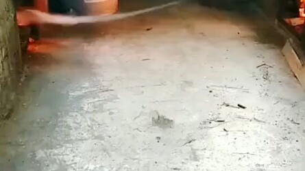 Dewa Dapur pindah rumah, siapa yang melihat akan mendapat keberuntungan!