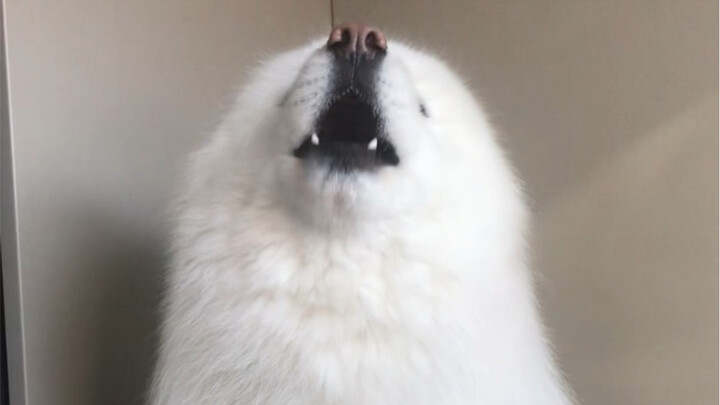 Thức tỉnh huyết mạch