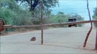 Lần đầu chở gái🤣