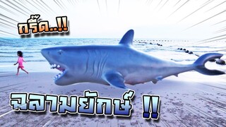 แกล้งลูกฉลาม !! จนพ่อฉลามไล่กัด... Baby Shark Bite !! - DING DONG DAD