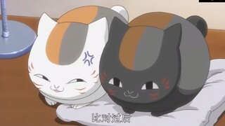 猫咪界的黑白无常，老师算是找到亲兄弟了