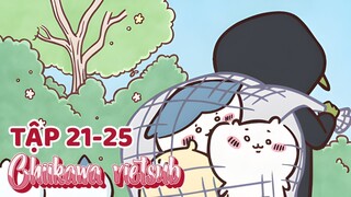 Chiikawa vietsub tập 21-25