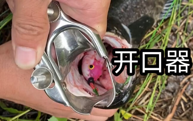 Black Fish Mouth Opener