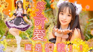活力猫猫就是最可爱的！🐾可愛くてごめん/这么可爱真是抱歉🐾