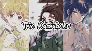 TRIO KAMABOKO⚡☀️🐷🔥🔥