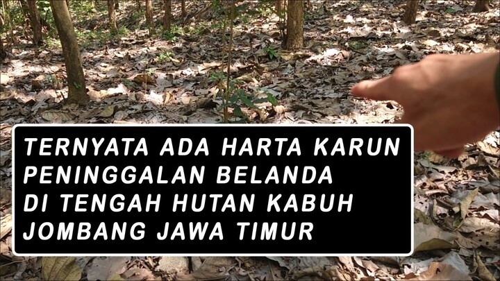 TERNYATA ADA HARTA KARUN PENINGGALAN BELANDA DI TENGAH HUTAN KABUH JOMBANG JAWA TIMUR