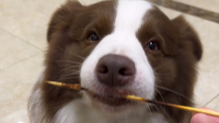 Yuzai: Mom? What mom are you talking about~