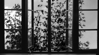 Who turned the photos into movies? Here are 24 frames of calmness and sadness: Abbas's "24 Frames" f