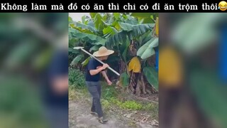 Không làm mà đòi có ăn thì chỉ có ăn trộm🤣#haihuoc#hài#tt