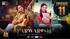 parwarish Episode 11. Pakistan drama