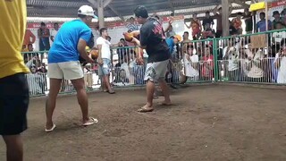 1st fight Win  nkablack nagbuhi Sweater Boston