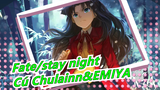 [Fate/stay night/MMD] Cú Chulainn&EMIYA - Hybrid