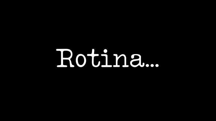 Segundo video