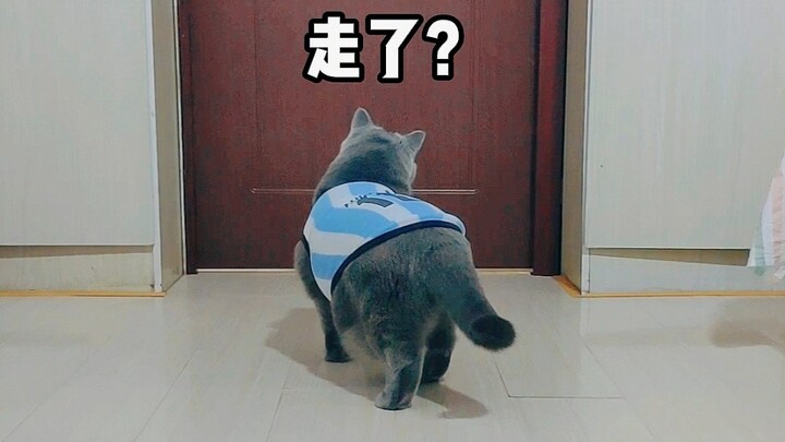 Hổ: Anh cứ đi đường anh, tôi cứ gào theo cách của tôi!