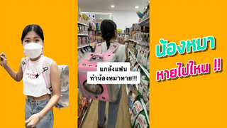 น้องหมาหายไปไหน? - คลิปตลก คลิปแกล้งแฟน