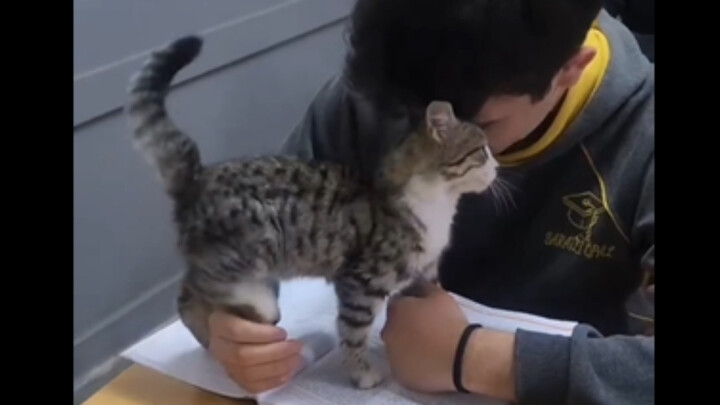 นี่แหละคือเหตุผลที่เธอสอบไม่ผ่าน 😂