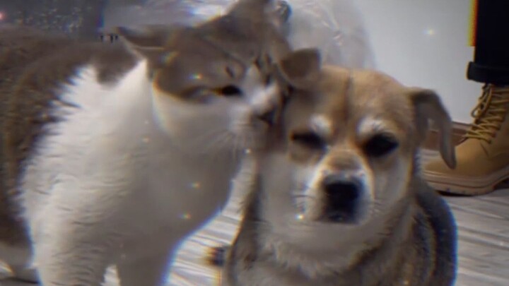 لا تجرؤ على التحرك عشوائيًا