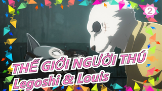 [THẾ GIỚI NGƯỜI THÚ] Thời gian tuyệt nhất mùa hè / Legoshi & Louis_2