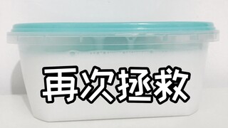 再次拯救变成面筋的甜梦枕