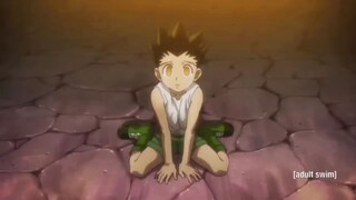 HUNTER X HUNTER : GON VS PITOU